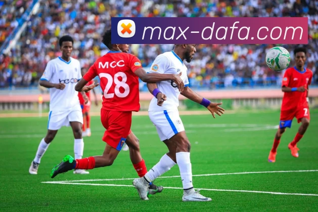 大发官网发展历程